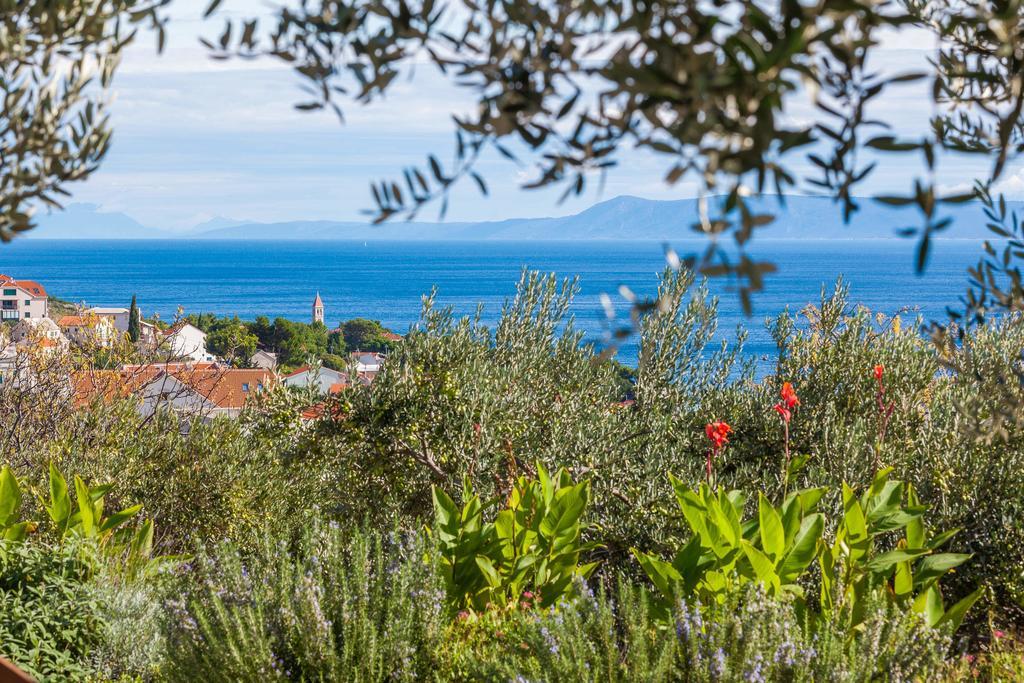 Holiday Home Zlatni San - Private Heated Pool Bol Phòng bức ảnh